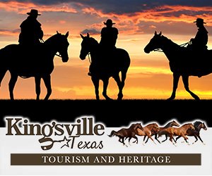 Visitor Info