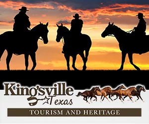 Visitor Info